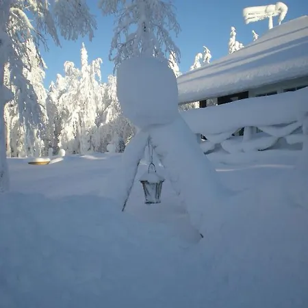Holiday home Rukanelioe Ruka