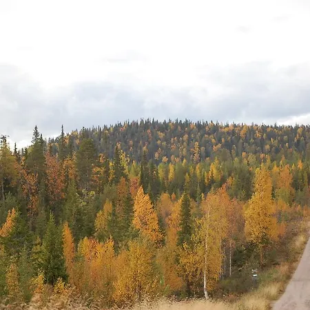 Rukanelioe Holiday home Ruka