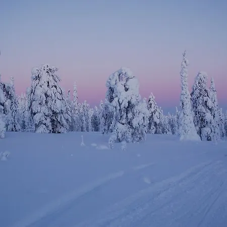 Rukanelioe * Ruka
