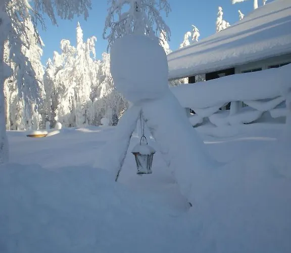 Hébergement de vacances Rukanelioe Ruka