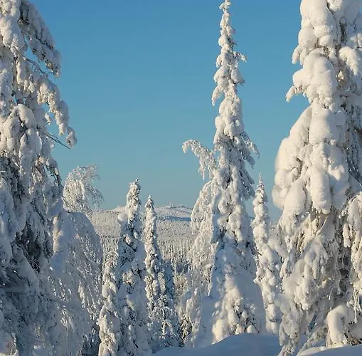 Rukanelioe Ferienhaus Ruka