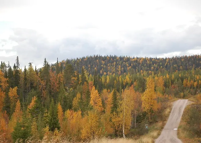 Rukanelioe Ferienhaus Ruka