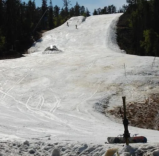 Rukanelioe Hébergement de vacances Ruka