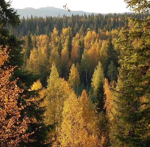 Rukanelioe Ferienhaus