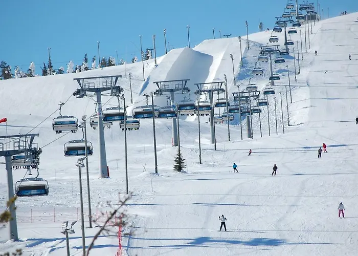 Hébergement de vacances Rukanelioe Ruka