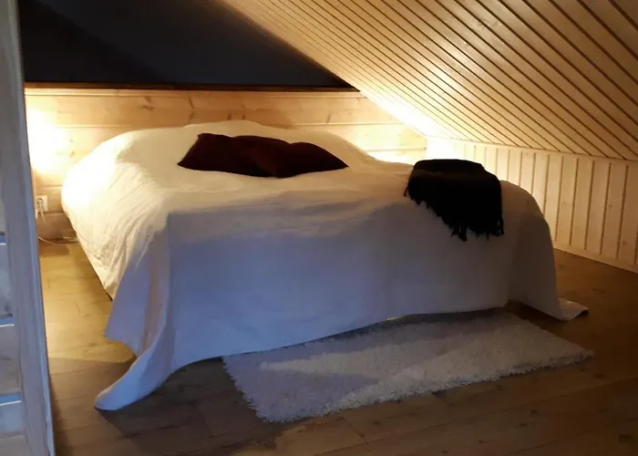 Rukanelioe Ferienhaus *